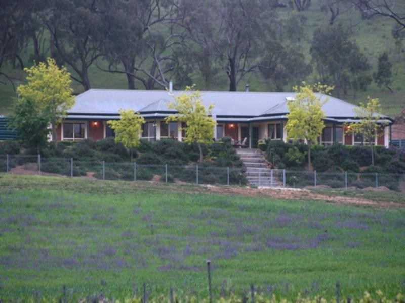 Lot 22 Skilly Road, Watervale SA 5452