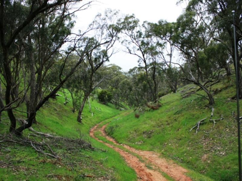 Lot 22 Skilly Road, Watervale SA 5452