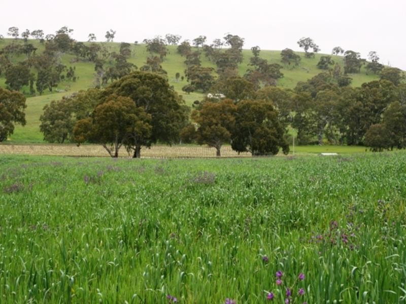 Lot 22 Skilly Road, Watervale SA 5452