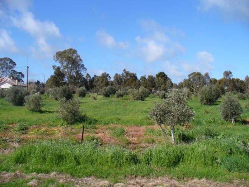 Lot 402 Mill Lane, Auburn SA 5451