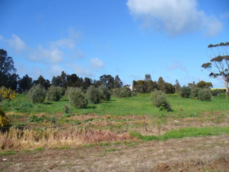 Lot 402 Mill Lane, Auburn SA 5451