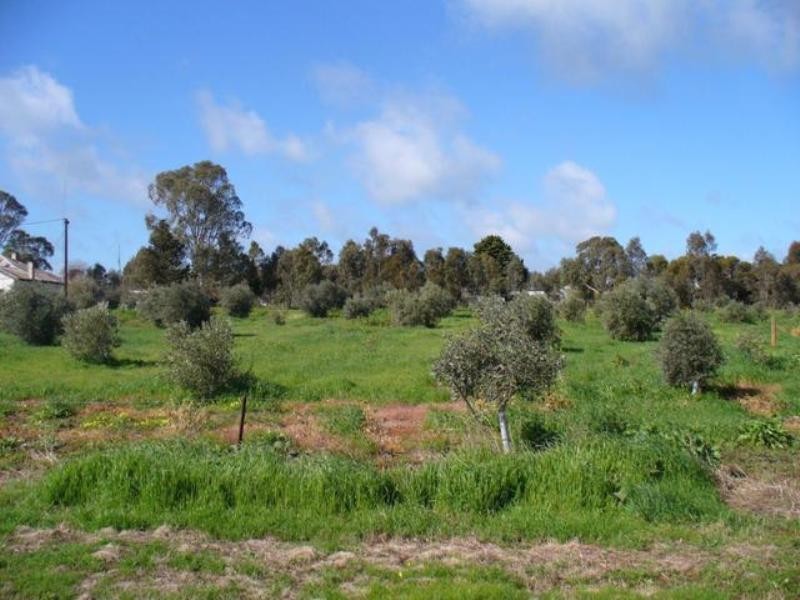 Lot 402 Mill Lane, Auburn SA 5451
