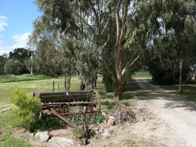 LT 92 GLOBE, Auburn SA 5451