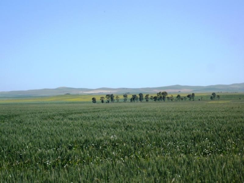 “Jetners” Road 137, Leighton SA 5417