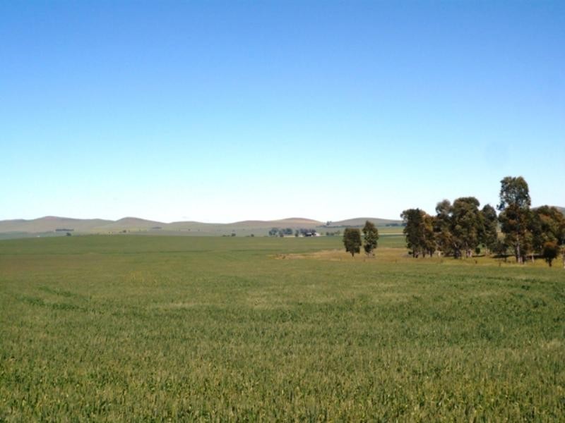 “Jetners” Road 137, Leighton SA 5417