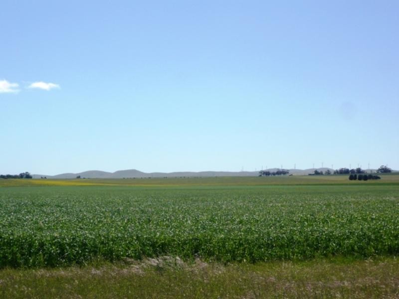 “Jetners” Road 137, Leighton SA 5417