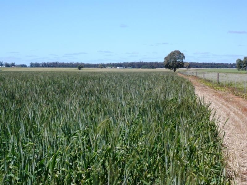 “Jetners” Road 137, Leighton SA 5417