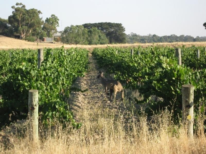 Lot 2 St Georges Terrace, Armagh SA 5453