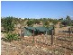 Lot 6 West Road, Auburn SA 5451
