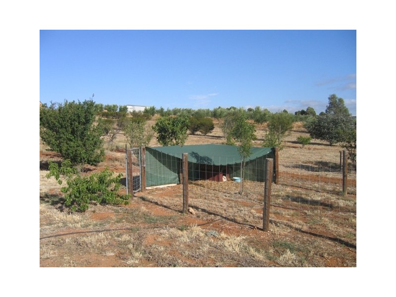 Lot 6 West Road, Auburn SA 5451