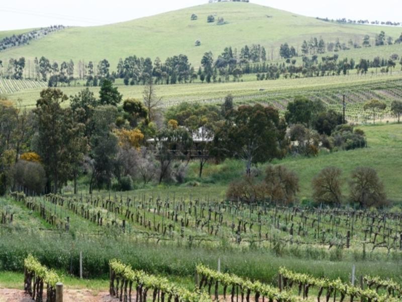 Lot 1 Hean Road, Auburn SA 5451