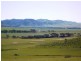 Robertstown SA 5381
