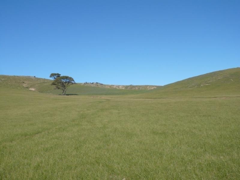 Robertstown SA 5381