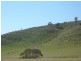 Robertstown SA 5381