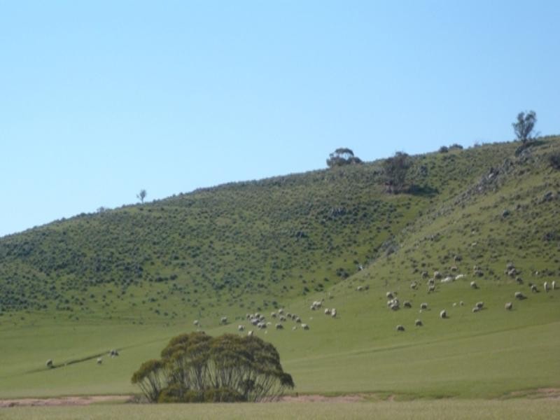 Robertstown SA 5381