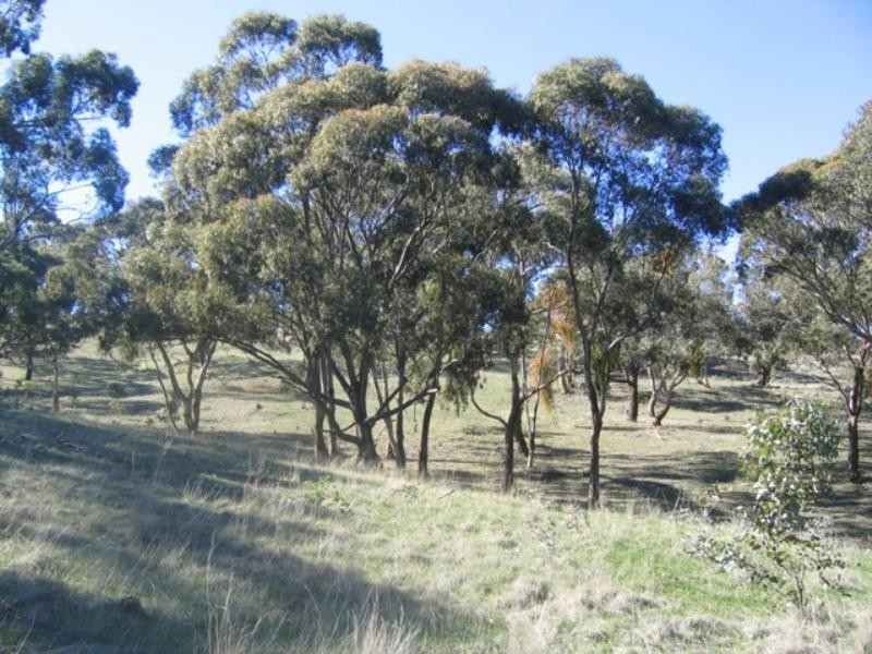 Lot 46 Norman Drive, Clare SA 5453