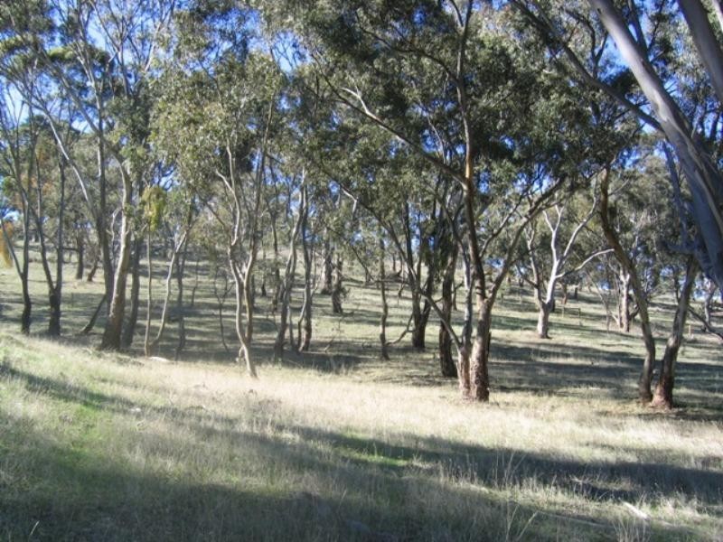 Lot 46 Norman Drive, Clare SA 5453