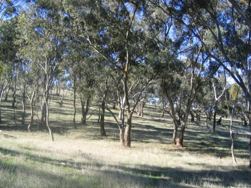 Lot 46 Norman Drive, Clare SA 5453