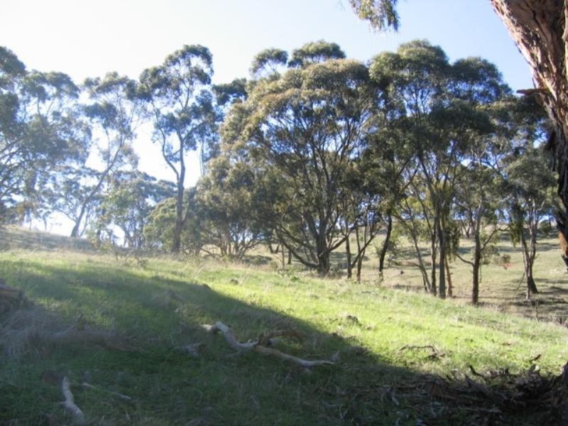 Lot 46 Norman Drive, Clare SA 5453