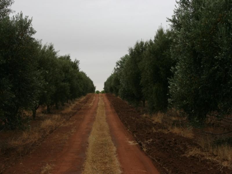 Lot 34 Government Road, Bowmans SA 5550