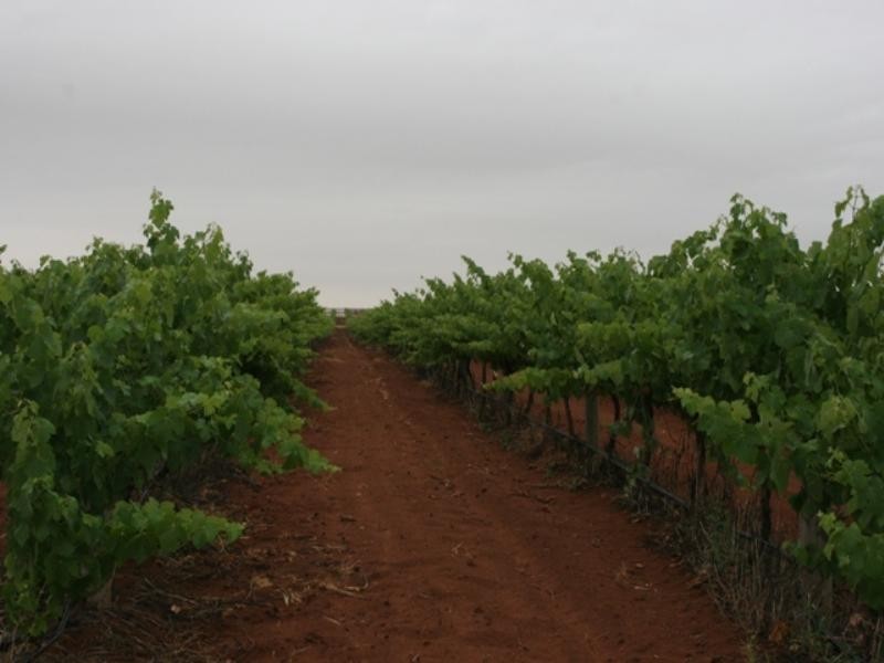 Lot 34 Government Road, Bowmans SA 5550