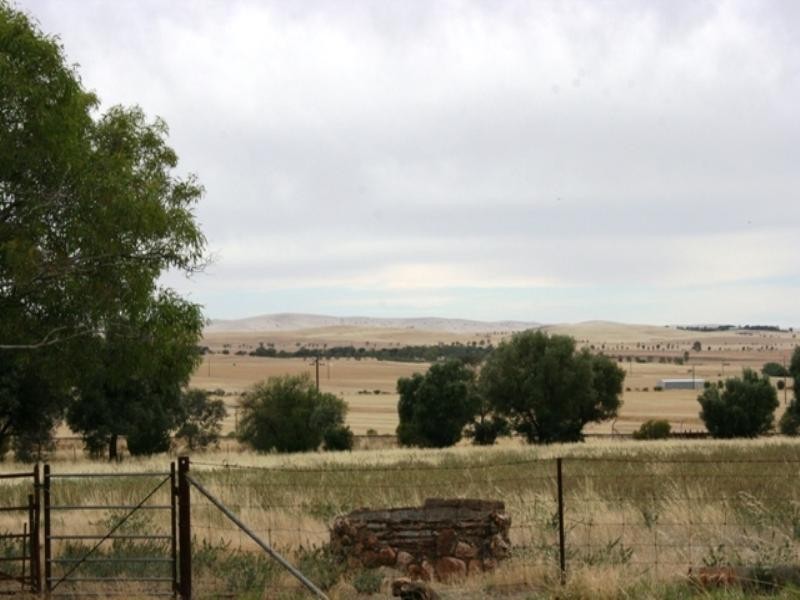 22 Park Terrace, Gladstone SA 5473