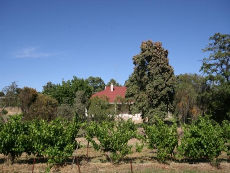 Lots 91 – 100 Main North Road, Leasingham SA 5452