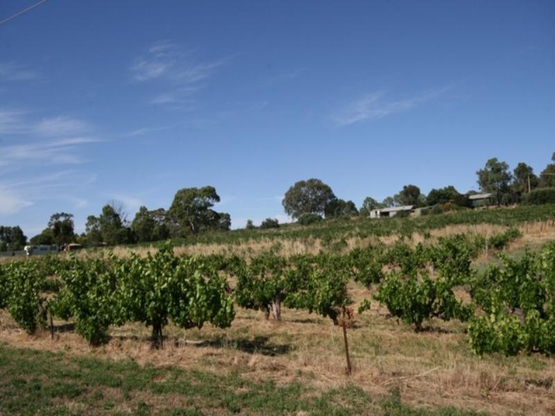 Lots 91 – 100 Main North Road, Leasingham SA 5452