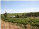 Lots 91 – 100 Main North Road, Leasingham SA 5452