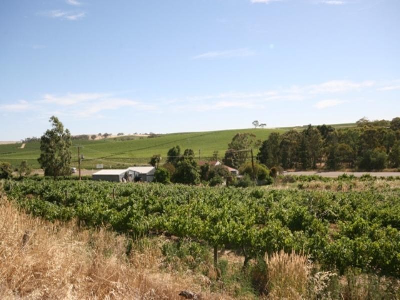 Lots 91 – 100 Main North Road, Leasingham SA 5452