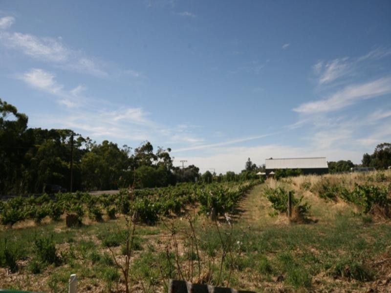 Lots 91 – 100 Main North Road, Leasingham SA 5452