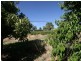 Lots 91 – 100 Main North Road, Leasingham SA 5452