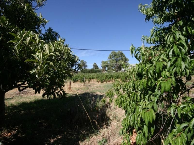 Lots 91 – 100 Main North Road, Leasingham SA 5452