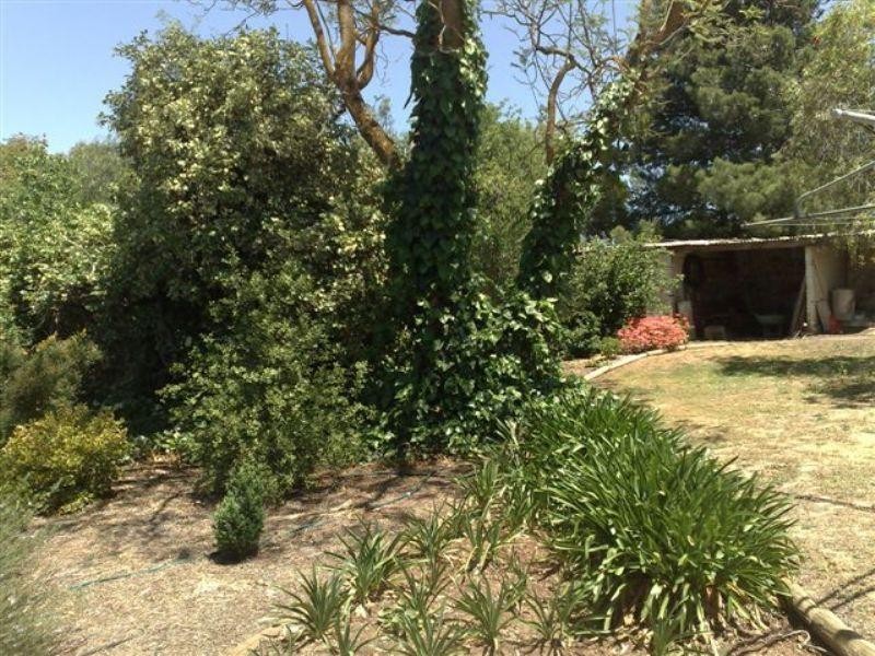 340 Main North Road, Clare SA 5453