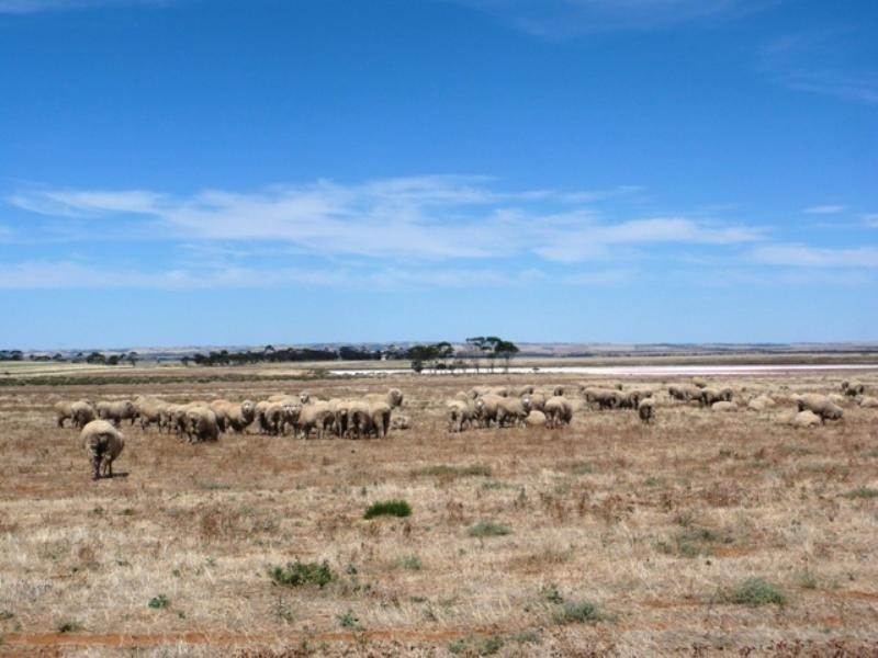 Lot 859 Lake View Road, Lake View SA 5555