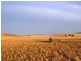 “Greenlands” and “Oak Brae”, Booborowie SA 5417