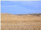 “Greenlands” and “Oak Brae”, Booborowie SA 5417