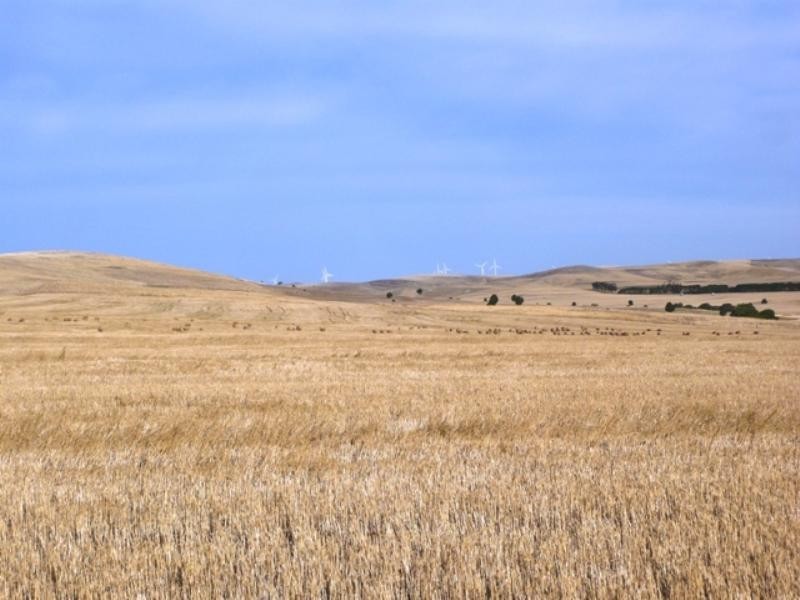 “Greenlands” and “Oak Brae”, Booborowie SA 5417