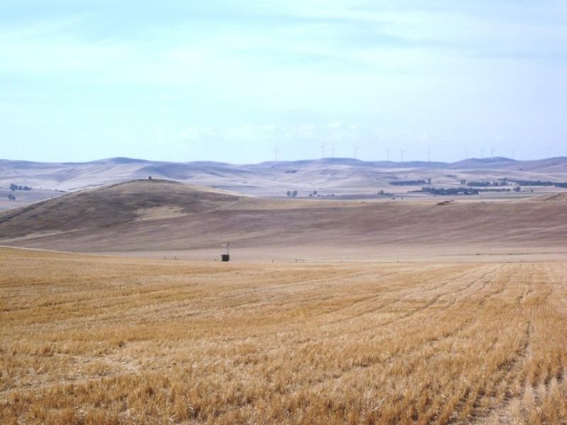 “Greenlands” and “Oak Brae”, Booborowie SA 5417