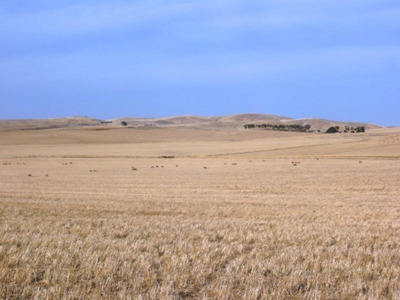 “Greenlands” and “Oak Brae”, Booborowie SA 5417