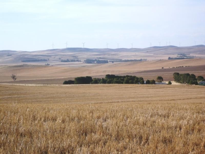 “Greenlands” and “Oak Brae”, Booborowie SA 5417