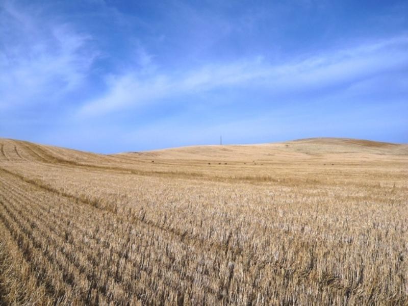 “Greenlands” and “Oak Brae”, Booborowie SA 5417