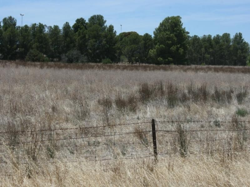 Sec 479 The Plains Industrial Estate South Terrace, Blyth SA 5462