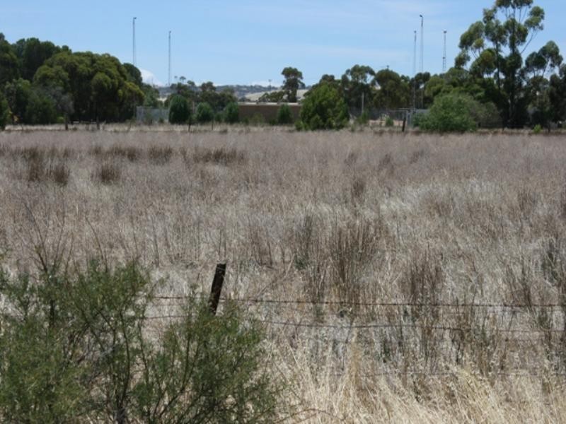 Sec 479 The Plains Industrial Estate South Terrace, Blyth SA 5462