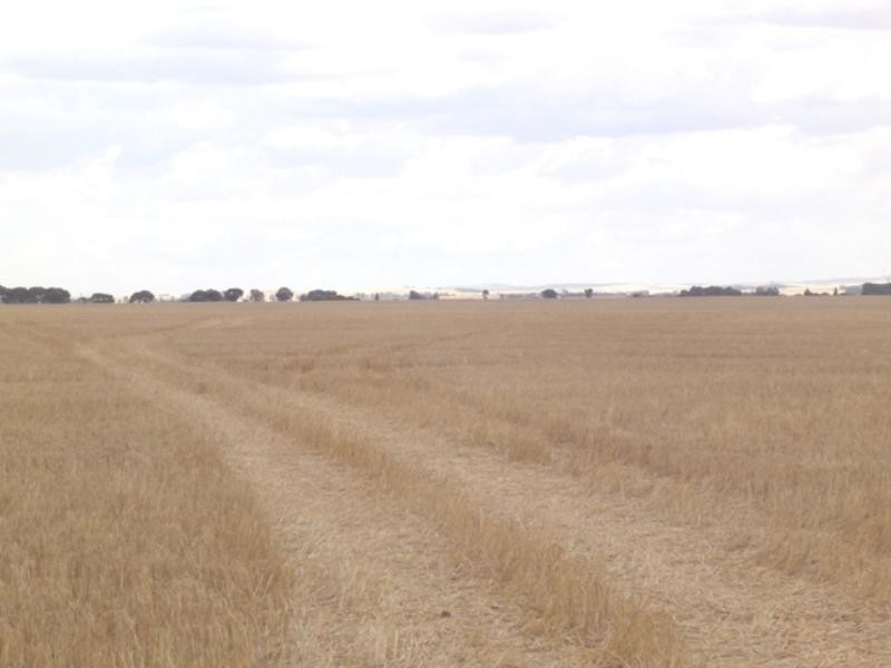 “Crossings” Mintaro-Farrell Flat Road, Farrell Flat SA 5416