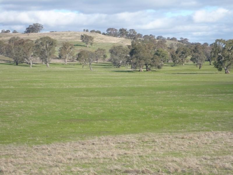 Angaston SA 5353