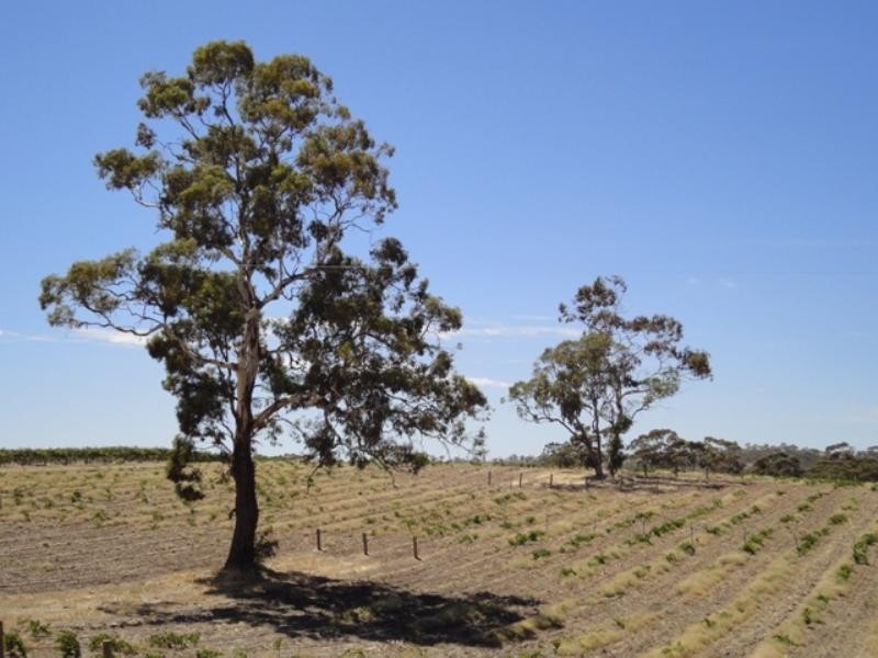 Lot 61 Scobie Road, Armagh SA 5453