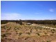 Lot 61 Scobie Road, Armagh SA 5453