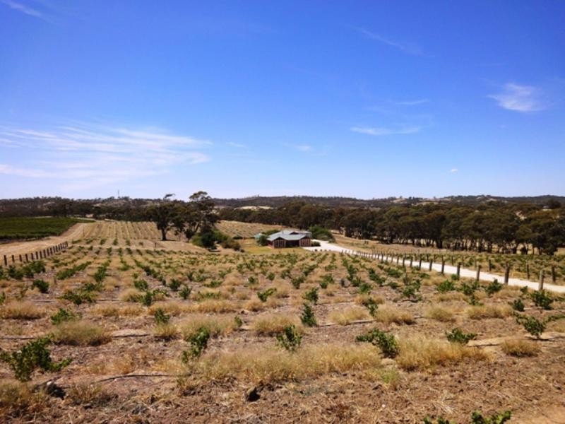 Lot 61 Scobie Road, Armagh SA 5453