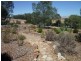 Lot 94 Marydale Road, Auburn SA 5451